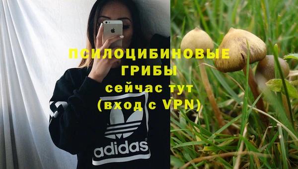 молекула духа Корсаков