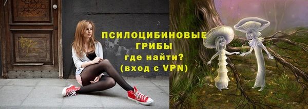 а пвп мука Коряжма