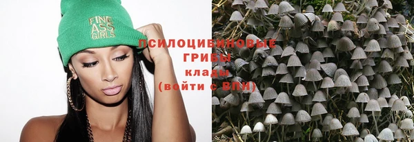 а пвп мука Коряжма