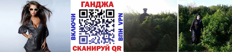 Бошки Шишки план  Купить  Чита 